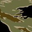 Vietnam Tiger Stripe